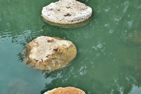 Stones over water creating a path to walk across.